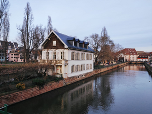 Lutte Contre Les Nuisibles Maisons-Alfort
