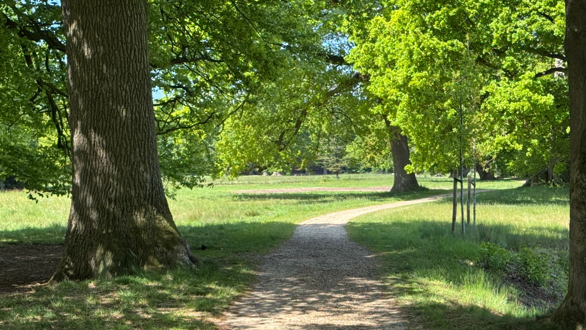 Lutte Contre Les Nuisibles à Maisons-Alfort